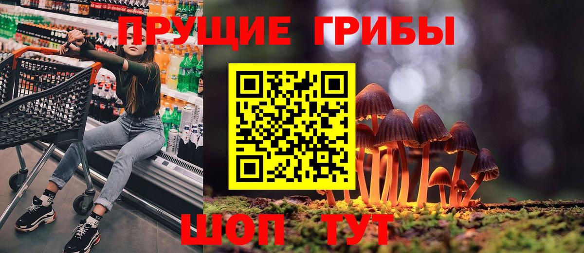 Псилоцибиновые грибы мицелий  Вход с VPN  Кореновск 